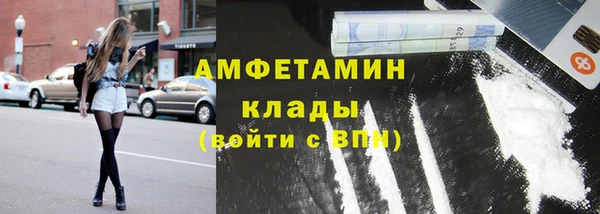 твердый Абаза