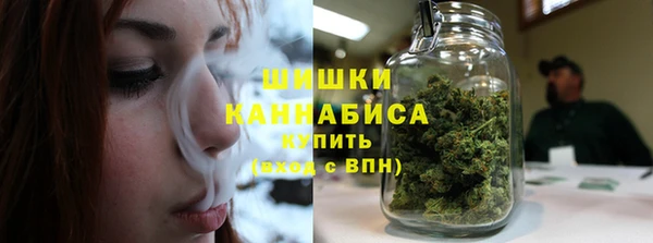 твердый Абаза