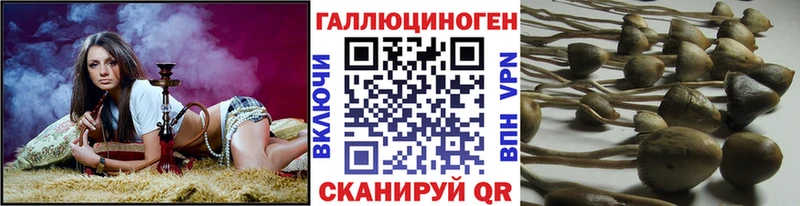 kraken ONION  Усть-Катав  Галлюциногенные грибы мухоморы 